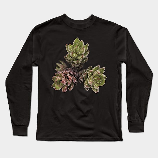 Suculenta Haworthia Reinwardtii Long Sleeve T-Shirt by NerdsbyLeo